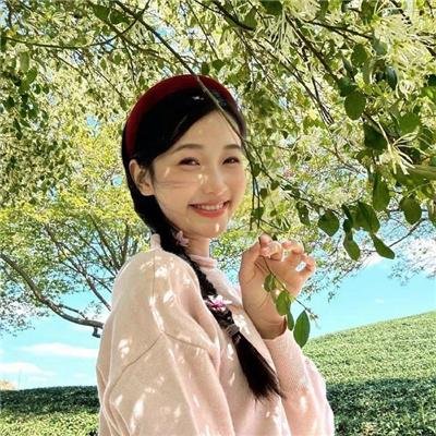 冒牌总统